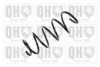 QUINTON HAZELL QCS6030 Coil Spring